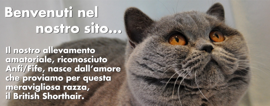 DIDO